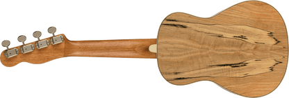 Fender Zuma Exotic Concert Ukulele, Walnut Fingerboard, Spalted Maple 0970450594