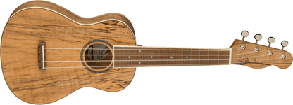 Fender Zuma Exotic Concert Ukulele, Walnut Fingerboard, Spalted Maple 0970450594