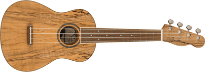 Fender Zuma Exotic Concert Ukulele, Walnut Fingerboard, Spalted Maple 0970450594