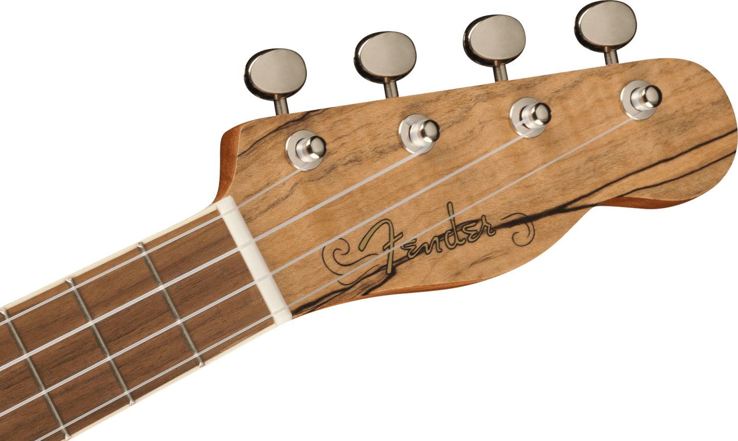 Fender Zuma Exotic Concert Ukulele, Walnut Fingerboard, Spalted Maple 0970450594