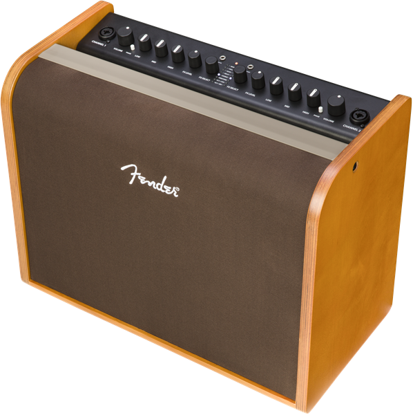 Fender Acoustic 100 Acoustic Guitar Amp 2314000000