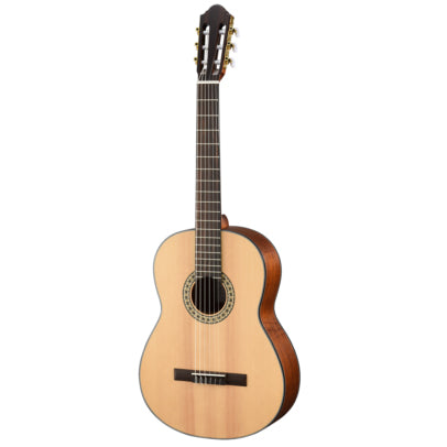 Walden N550E - Acoustic Guitar