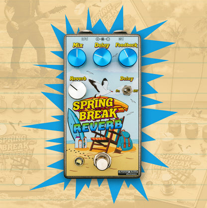 Summer School Electronics Spring Break Reverb