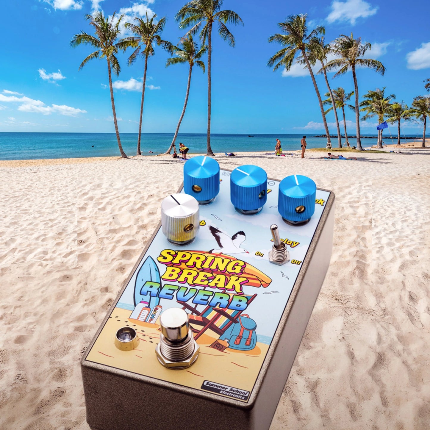 Summer School Electronics Spring Break Reverb