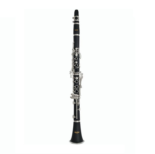 Apollo Bb Student Clarinet Outfit