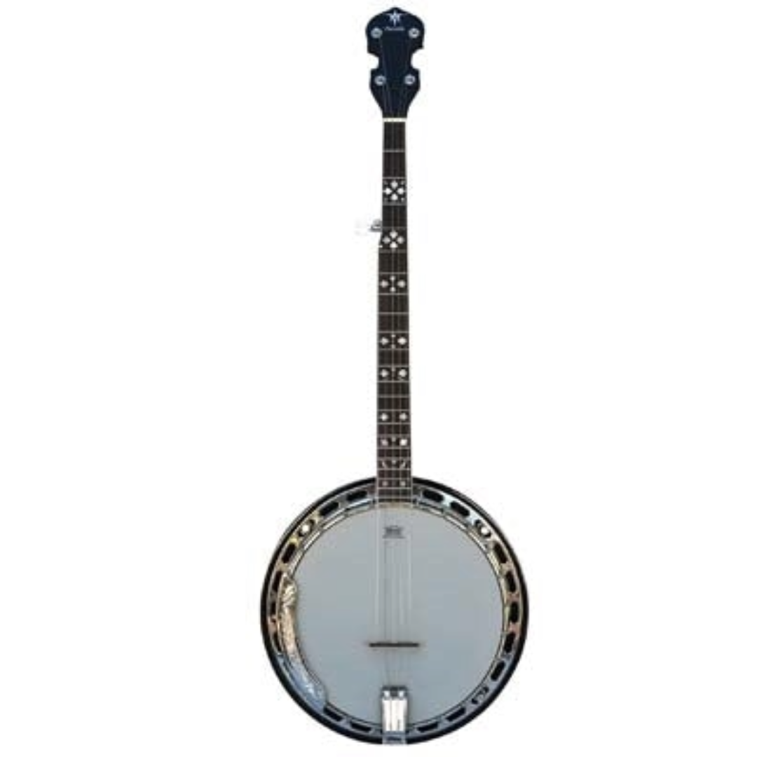 Danville BJ-009 - Banjo