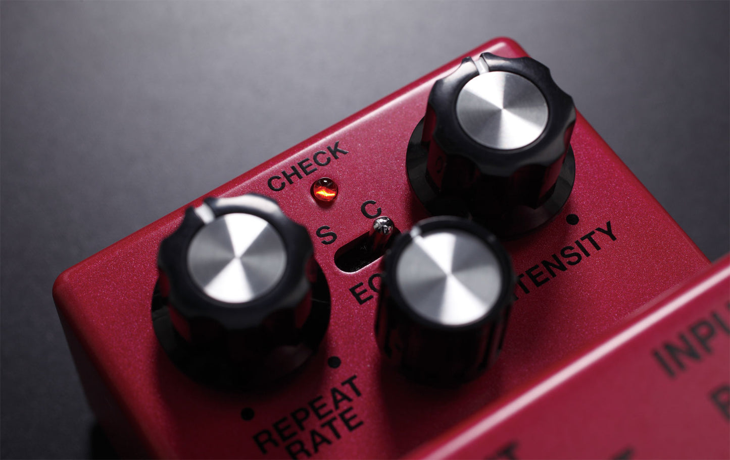 BOSS Waza Craft DM-2W Analog Delay Pedal