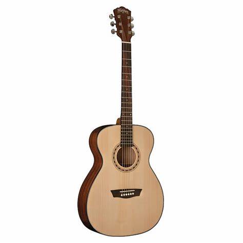 Washburn F5 - Acoustic Guitar