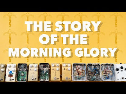 JHS Pedals Morning Glory V4 Pedal