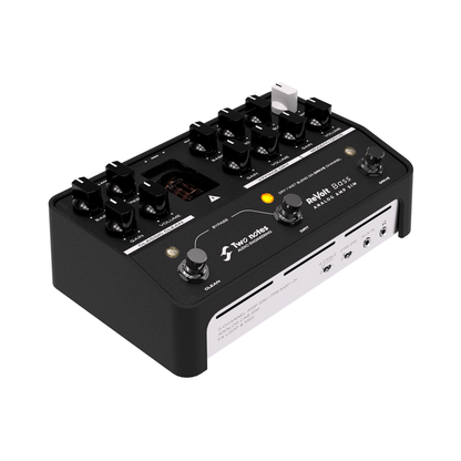 Two Notes ReVolt Bass 3 Channel Tube-Driven All-Analog Bass Amp Simulator / DI