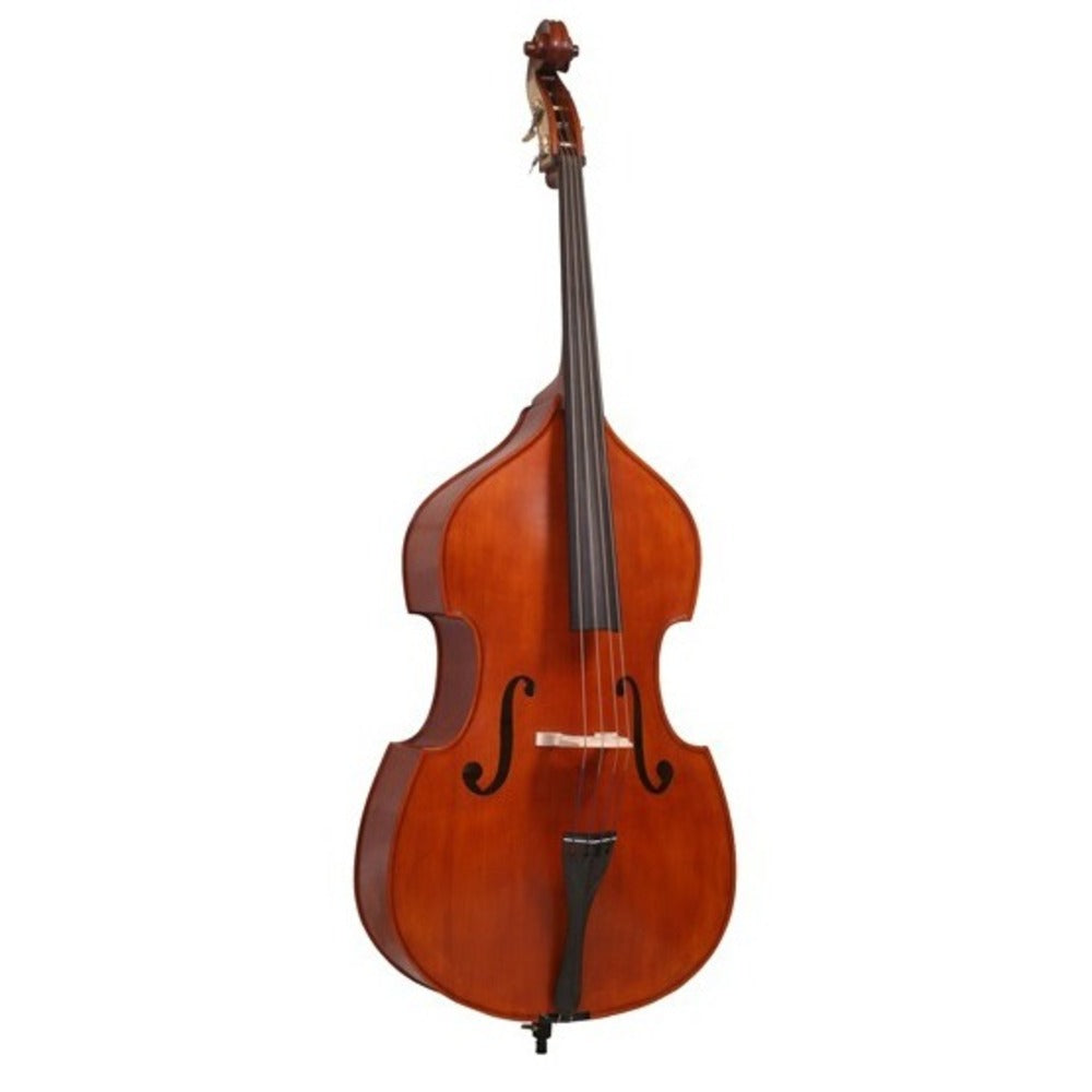 String Base Player Expert String Bass Rental Services | Poppas Music