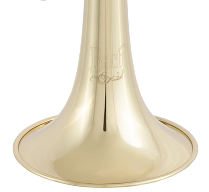 Bach TR202 Student Trumpet