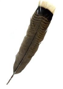 Standard Oboe 3 Per Pack Feathers - Poppa's Music 