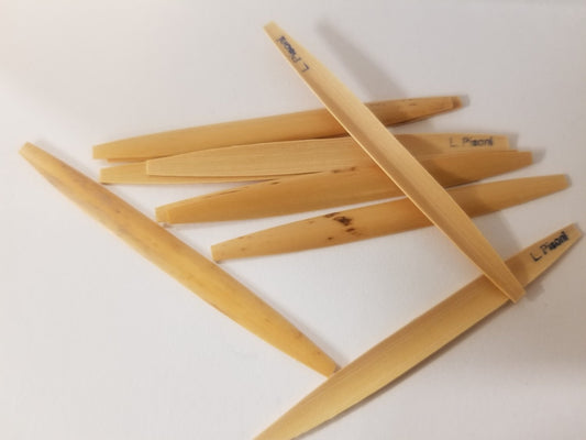 Pisoni Oboe Cane Gouged and Shape - #67 - Poppa's Music 