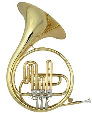 Holton Single French Horn Brass BRANCHES, Bows & Crooks H650 - Poppa's Music 
