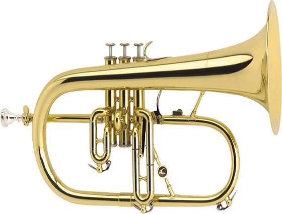 Courtois Professional Flugelhorn - Poppa's Music 