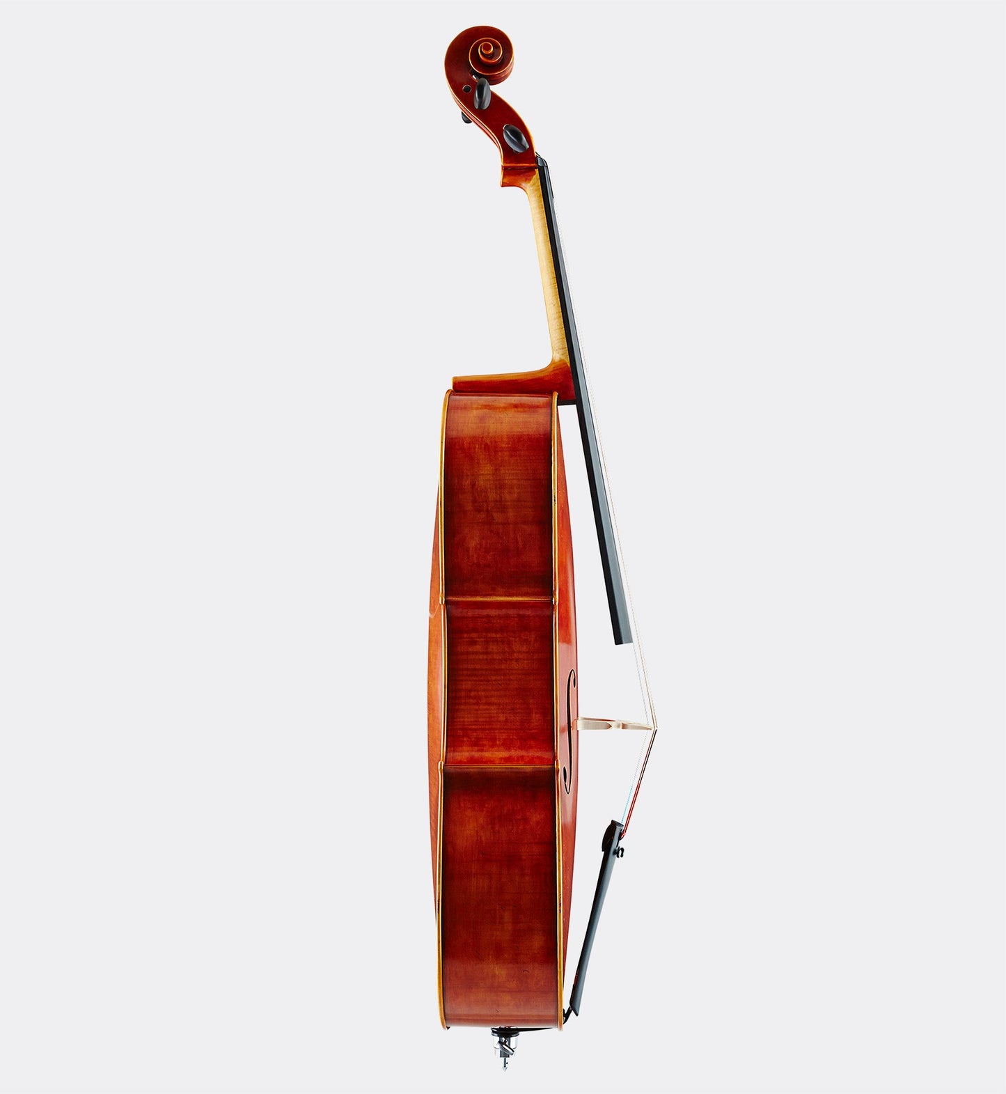 Knilling Nicolo Gabrieli Concert Model Cello - 182F - Premium Cello from Knilling - Just $9895! Shop now at Poppa's Music