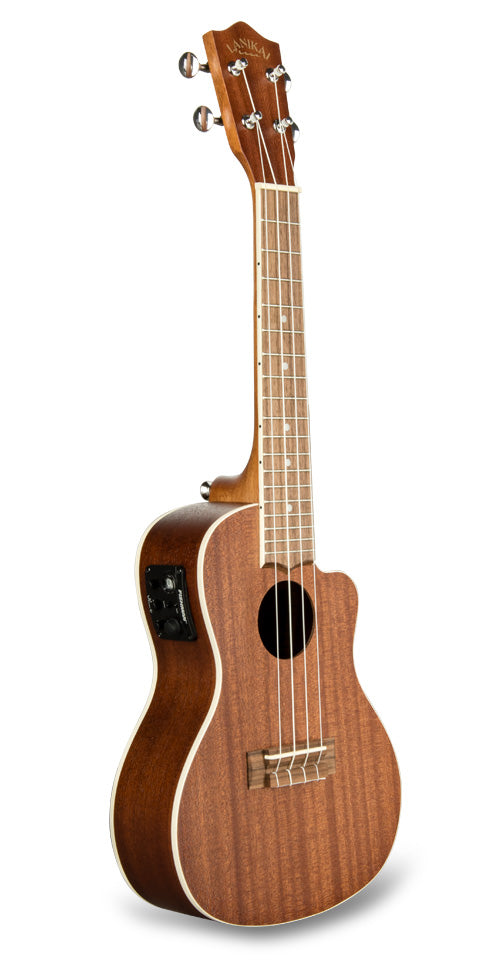 Where Can I Buy Ukulele in Sri Lanka