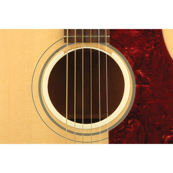D'addario Planet Waves O-Port - Poppa's Music 