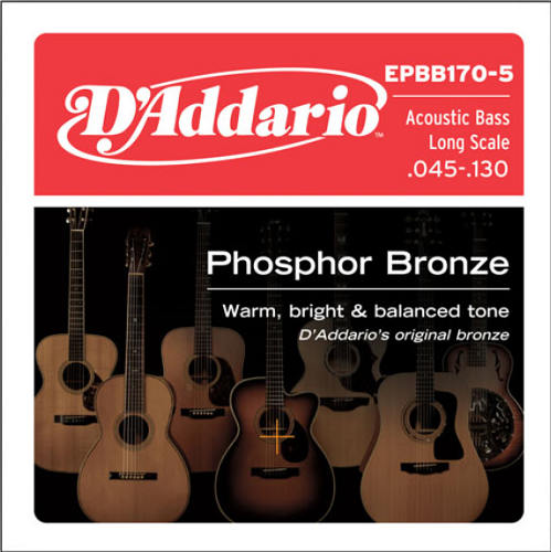 D'addario Phosphor Bronze 5-String, Long Scale, 45-130 Acoustic Bass Gutiar Strings - Poppa's Music 