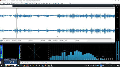 Sound Forge Audio Studio 12 Software - Poppa's Music 