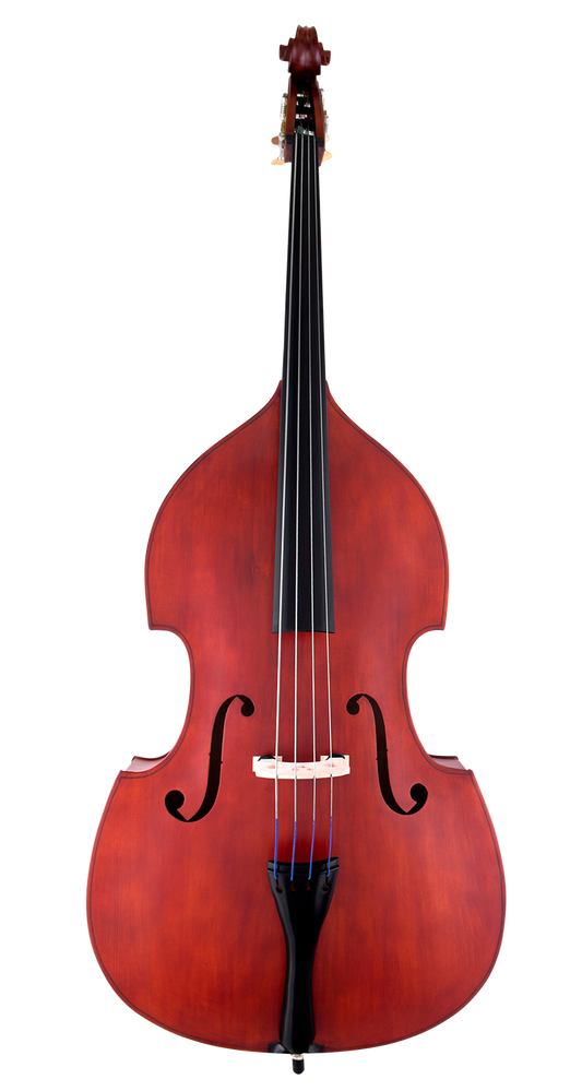 Scherl and Roth SR57 Student Double Bass - Poppa's Music 