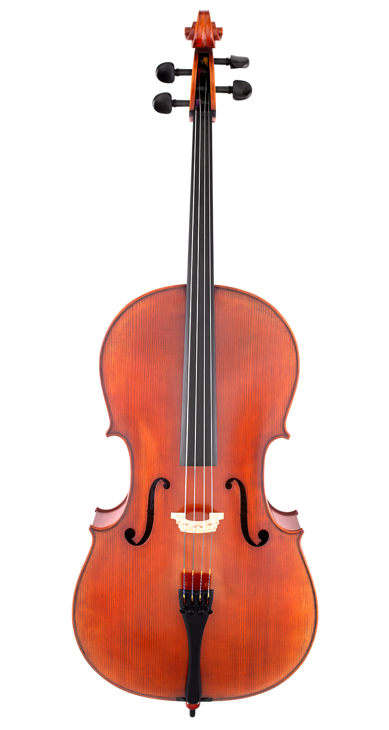 Scherl & Roth SR75 Advanced Cello - Poppa's Music 