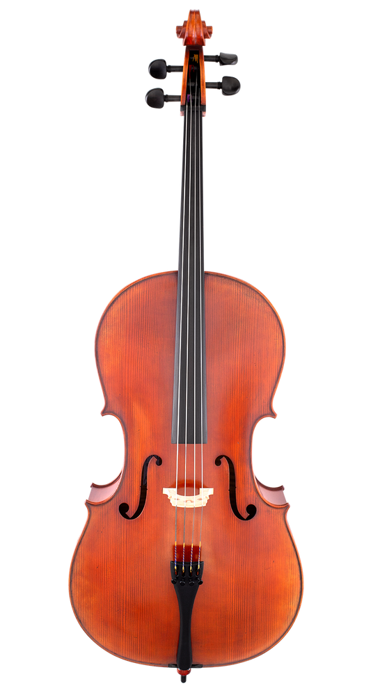 Scherl & Roth SR75 Advanced Cello - Poppa's Music 