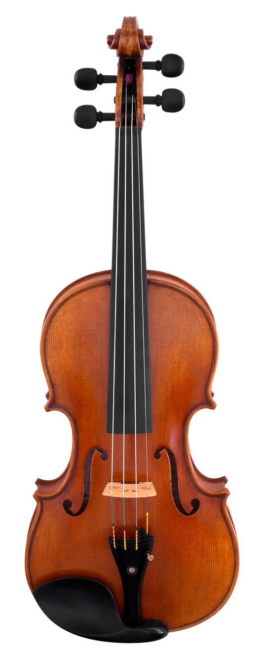 Scherl and Roth Violin SR81 Advanced Violin - Poppa's Music 