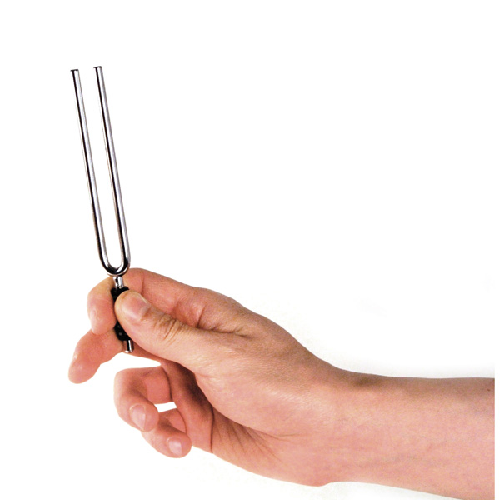 D'addario Planet Waves Tuning Fork IN the Key of A - Premium Tuning Fork from D'addario - Just $9.75! Shop now at Poppa's Music