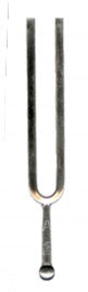 Wittner Square Tynes Tuning Fork - Model A440 - Poppa's Music 