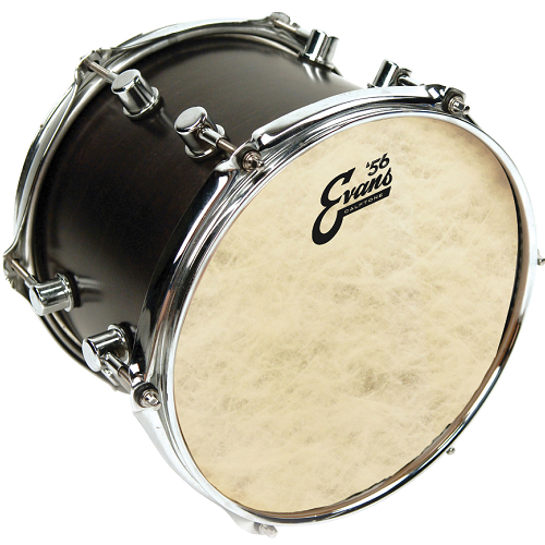 Evans Calftone Tom Batter 13 Inch Drum Head - Premium Drum Head from Evans - Just $23.99! Shop now at Poppa's Music