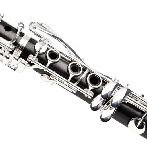 Buffet Crampon R13 Professional Bb Clarinet with Silver plated Keys - Poppa's Music 