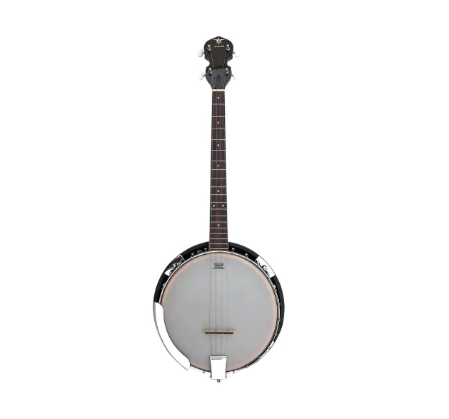Danville 4-String Tenor Banjo - Premium Banjo from Danville USA - Just $399.95! Shop now at Poppa's Music