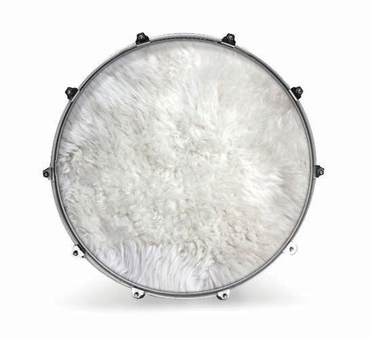 Evans Fabrics Bass Drum Head - Polar Bear Fur - Poppa's Music 