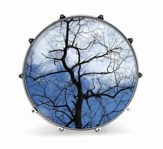 Evans Nature Bass Drum Head - Tree 1 - Poppa's Music 
