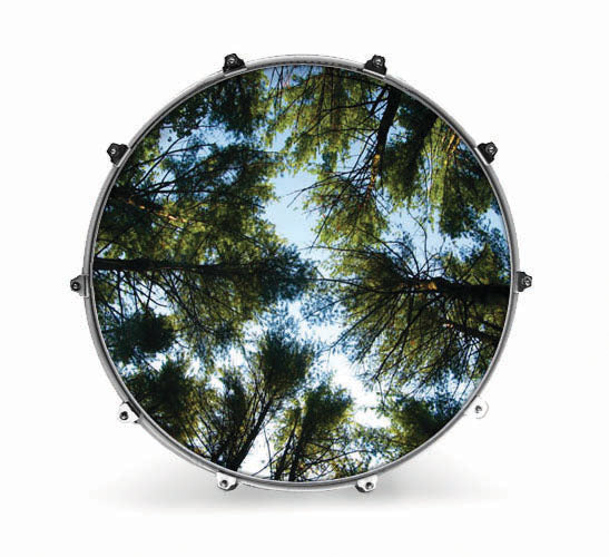 Evans Nature Bass Drum Head - Tree 2 - Premium  from Evans - Just $88.95! Shop now at Poppa's Music