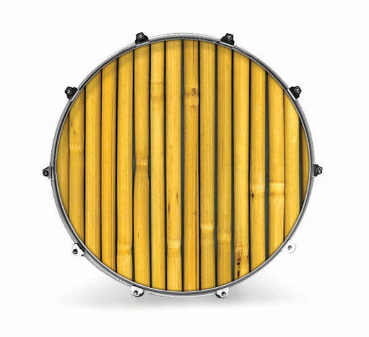 Evans Photography Series Bass Drum Head - Cane - Poppa's Music 