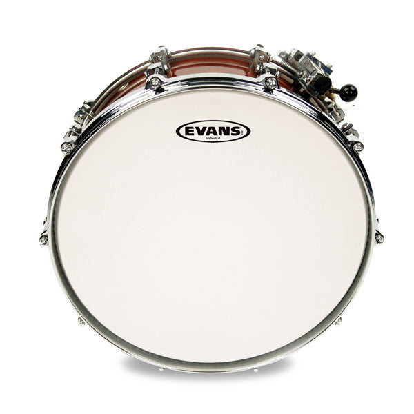 Evans Orchestral Snare Drum Head - 14 - Premium Drum Head from Evans - Just $11.40! Shop now at Poppa's Music