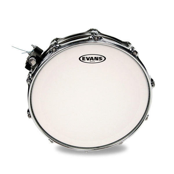 Evans Genera SNARE/TOM/TIMBALE Drum Head - 13 - Poppa's Music 