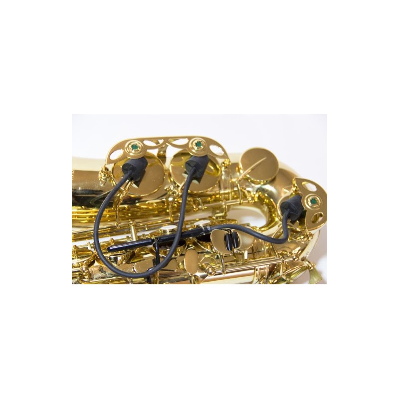 Hollywoodwinds Clamp Set -Alto Sax - Poppa's Music 