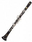 Patricola Virtuoso Professional Bb Clarinet - Poppa's Music 