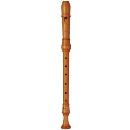 Moeck Rottenburgh BoxWood, 3 PIECE, Double HOLE, Curved WINDWAY, Soprano Recorder - 4204 - Poppa's Music 