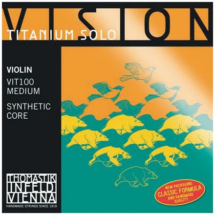 Vision Titanium Solo Violin  4/4 Set - VIT100 - Poppa's Music 